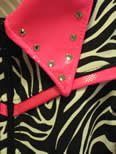 Hot Pink and Zebra